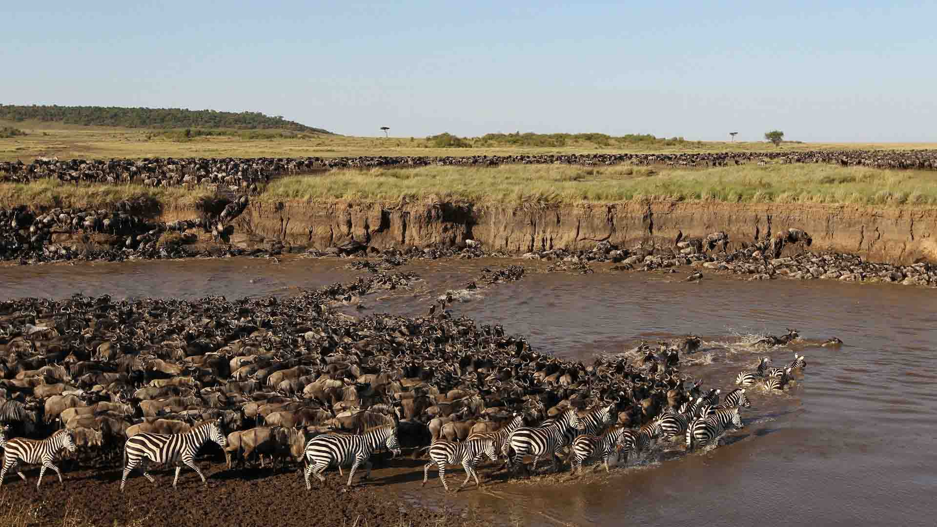 Tanzania and Zanzibar Safari, photo 1